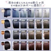 エンシェールズ カラーバター 200g＜アッシュブルー＞ヘアカラー カラーケア カラートリートメント ヘアマニキュア インナーカラー 派手髪｜アトム屋美容本舗 公式