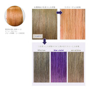 エンシェールズ カラーバター 200g＜アッシュパープル＞ヘアカラー カラーケア カラートリートメント ヘアマニキュア インナーカラー 派手髪｜アトム屋美容本舗 公式