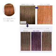 エンシェールズ カラーバター 200g＜アッシュパープル＞ヘアカラー カラーケア カラートリートメント ヘアマニキュア インナーカラー 派手髪｜アトム屋美容本舗 公式