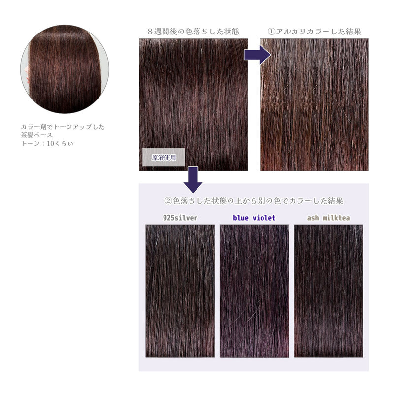 エンシェールズ カラーバター 200g＜アッシュパープル＞ヘアカラー カラーケア カラートリートメント ヘアマニキュア インナーカラー 派手髪｜アトム屋美容本舗 公式