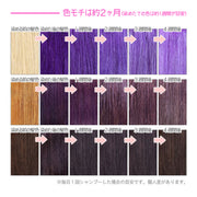 エンシェールズ カラーバター 200g＜ブルーバイオレット＞ヘアカラー カラーケア カラートリートメント ヘアマニキュア インナーカラー 派手髪｜アトム屋美容本舗 公式