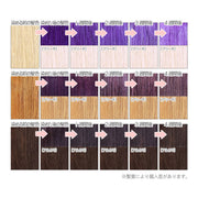 エンシェールズ カラーバター 200g＜ブルーバイオレット＞ヘアカラー カラーケア カラートリートメント ヘアマニキュア インナーカラー 派手髪｜アトム屋美容本舗 公式
