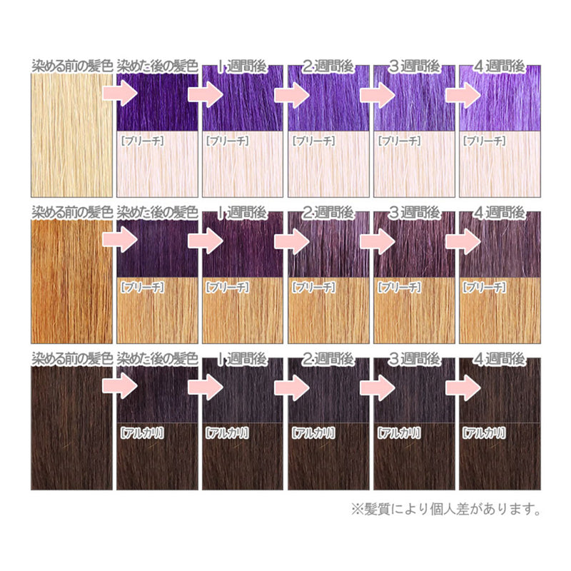 エンシェールズ カラーバター 200g＜ブルーバイオレット＞ヘアカラー カラーケア カラートリートメント ヘアマニキュア インナーカラー 派手髪｜アトム屋美容本舗 公式