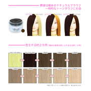エンシェールズ カラーバター 200g＜ココナッツブラウン＞ヘアカラー カラーケア カラートリートメント ヘアマニキュア インナーカラー 派手髪｜アトム屋美容本舗 公式