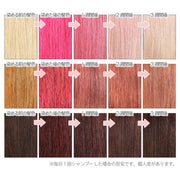 エンシェールズ カラーバター 200g＜キャンディーピンク＞ヘアカラー カラーケア カラートリートメント ヘアマニキュア インナーカラー｜アトム屋美容本舗 公式