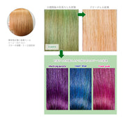 エンシェールズ カラーバター 200g＜ヘンプグリーン＞ヘアカラー カラーケア カラートリートメント ヘアマニキュア インナーカラー 派手髪｜アトム屋美容本舗 公式