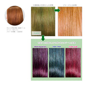 エンシェールズ カラーバター 200g＜ヘンプグリーン＞ヘアカラー カラーケア カラートリートメント ヘアマニキュア インナーカラー 派手髪｜アトム屋美容本舗 公式