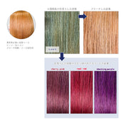 エンシェールズ カラーバター 200g＜ネイビーブルー＞ヘアカラー カラーケア カラートリートメント ヘアマニキュア インナーカラー 派手髪｜アトム屋美容本舗 公式