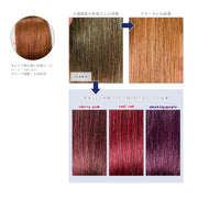 エンシェールズ カラーバター 200g＜ネイビーブルー＞ヘアカラー カラーケア カラートリートメント ヘアマニキュア インナーカラー 派手髪｜アトム屋美容本舗 公式