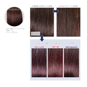 エンシェールズ カラーバター 200g＜ネイビーブルー＞ヘアカラー カラーケア カラートリートメント ヘアマニキュア インナーカラー 派手髪｜アトム屋美容本舗 公式