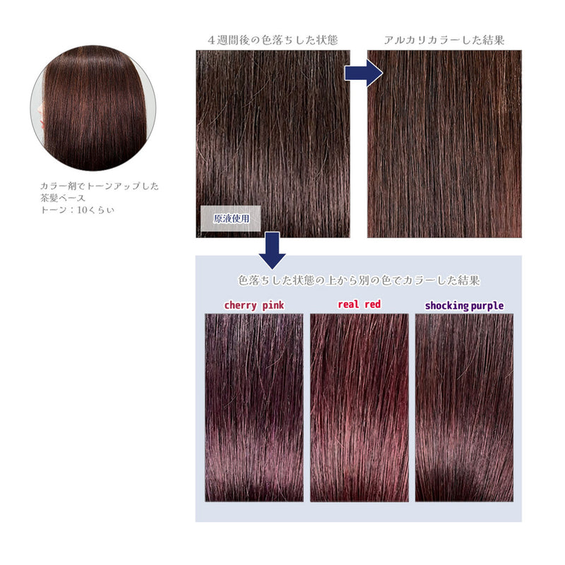 エンシェールズ カラーバター 200g＜ネイビーブルー＞ヘアカラー カラーケア カラートリートメント ヘアマニキュア インナーカラー 派手髪｜アトム屋美容本舗 公式