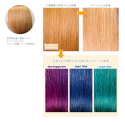 エンシェールズ カラーバター 200g＜マンゴーオレンジ＞ヘアカラー カラーケア カラートリートメント ヘアマニキュア インナーカラー 派手髪｜アトム屋美容本舗 公式
