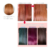 エンシェールズ カラーバター 200g＜リアルレッド＞ヘアカラー カラーケア カラートリートメント ヘアマニキュア インナーカラー 派手髪｜アトム屋美容本舗 公式