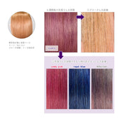 エンシェールズ カラーバター 200g＜ショッキングパープル＞ヘアカラー カラーケア カラートリートメント ヘアマニキュア インナーカラー｜アトム屋美容本舗 公式