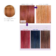 エンシェールズ カラーバター 200g＜ショッキングパープル＞ヘアカラー カラーケア カラートリートメント ヘアマニキュア インナーカラー｜アトム屋美容本舗 公式