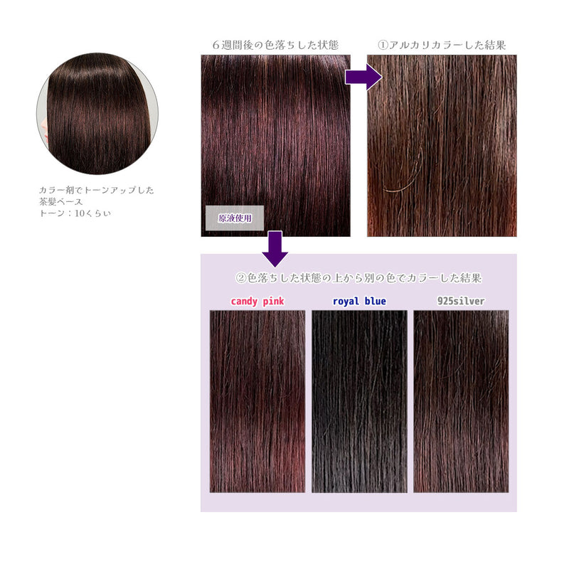 エンシェールズ カラーバター 200g＜ショッキングパープル＞ヘアカラー カラーケア カラートリートメント ヘアマニキュア インナーカラー｜アトム屋美容本舗 公式