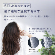 AIVIL アイビル プロドライヤー 750 ホワイト（SD-24J01）ヘアドライヤー ヘアードライヤー サロンドライヤー 750W 省電力 軽量 電気代削減｜アトム屋美容本舗 公式