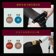 アイビル ブラシレスモーター ドライヤー （BD-23D08）1400W